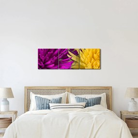 Tablou - detailu cu flori (cu ceas) (90x30 cm)