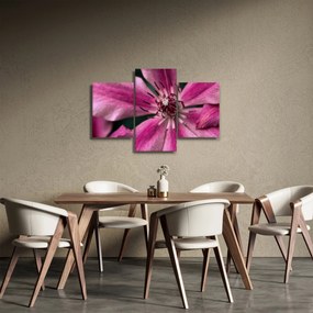 Tablou cu floarea roz de clematis (90x60 cm)