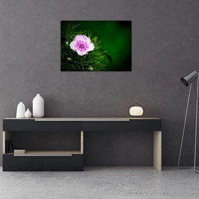 Tablou pe sticlă cu floare roz (70x50 cm)