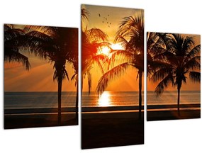 Tablou cu palmier în apus de soare (90x60 cm)