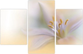 Tablou - Floare fragedă (90x60 cm)