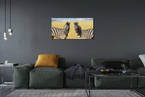 Tablouri canvas caseta de zebră