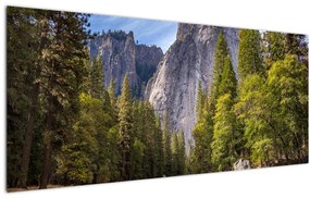 Tablou cu stânci (120x50 cm)