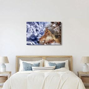 Tablou cu lup (90x60 cm)