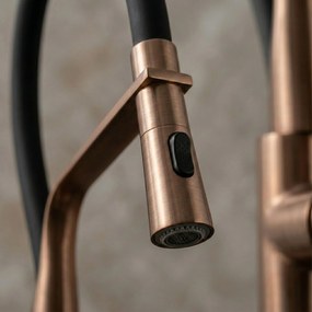 Baterie de bucătărie Rea Castor Auriu Copper Brush