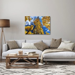 Tablou - Aspen (70x50 cm)