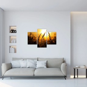 Tablou - Apus de soare (90x60 cm)