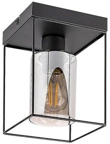 Rabalux 71031 - Plafonieră CHADWICK, 1xE27/25W/230V