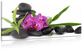 Tablou orhidee violetă în natura moartă Zen