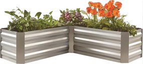 Pat ridicat de plante Magnolia – Garden Pleasure