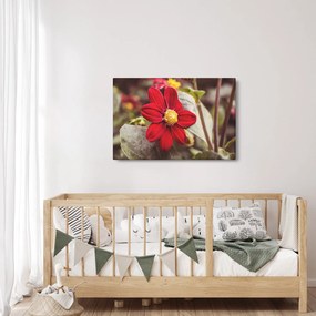 Tablou cu floare (90x60 cm)