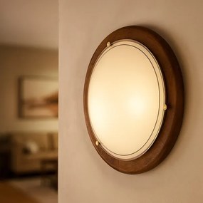 Brilagi - Plafonieră ORBIS, 2xE27/60W/230V, Ø 38 cm, pin