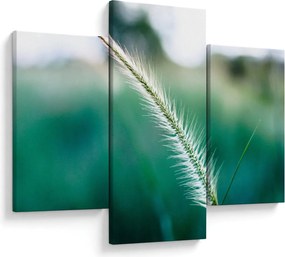Tablou cu fir de iarbă (90x60 cm)