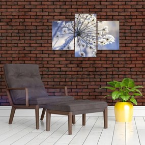 Tablou - Flori înghețate (90x60 cm)