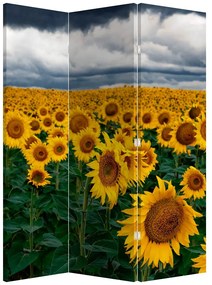 Paravan - Câmpul de floarea soarelui (126x170 cm)