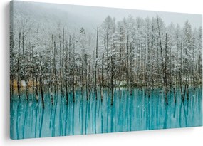 Tablou - Pescărie turcoaz, Biei, Japonia (90x60 cm)