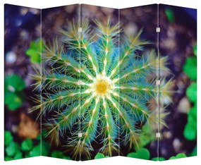 Paravan - Cactus (210x170 cm)