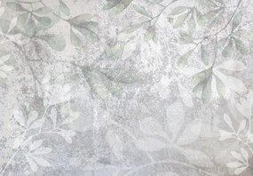 Fototapet - Frunze pe perete (147x102 cm)