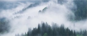 Tablou - Copacii în ceață (120x50 cm)