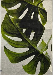 Covor Modern Kolibri 11290