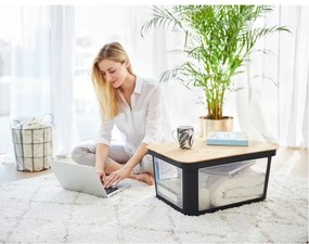 Capac pentru cutie de depozitare negru din plastic 57x39x3 cm Albris – Rotho