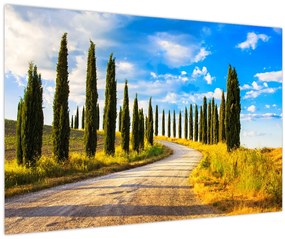 Tablou - Peisaj (90x60 cm)