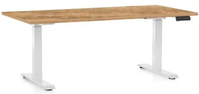 Masă înălțime reglabilă OfficeTech C, 160 x 80 cm, picioare albe, stejar auriu