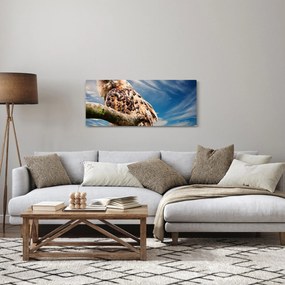 Tablou - Bufniță (120x50 cm)