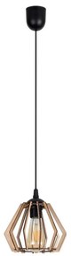 Lustră pe cablu BERGO 1xE27/60W/230V neagră