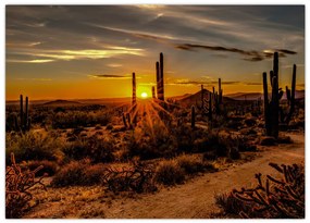 Tablou pe sticlă - Sfărșit de zi în deșertul Arizona (70x50 cm)