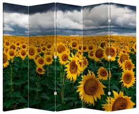 Paravan - Câmpul de floarea soarelui (210x170 cm)