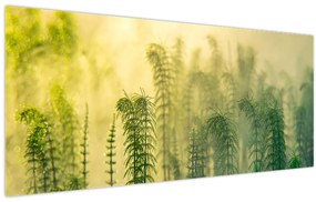 Tablou - Detaliu de primăvară natura cețoasă (120x50 cm)