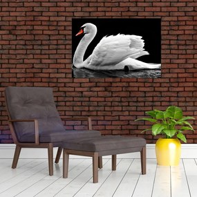 Tablou cu lebăda alb neagră (90x60 cm)