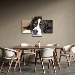 Tablou cu câine (90x60 cm)