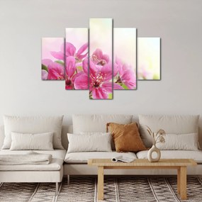 Tablou - Flori roz (150x105 cm)