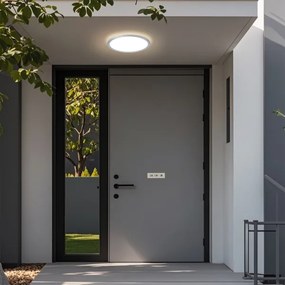 Brilagi - Plafonieră LED pentru baie ULTRA SLIM, 12 W, 230 V, Ø 22,5 cm, argintiu, IP54