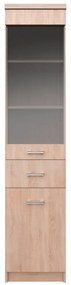 Vitrina 1D1W1S, stejar Sonoma, TOPTY TIP 32