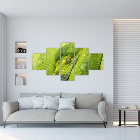 Tablou cu șarpe (125x70 cm), în 40 de alte dimensiuni noi