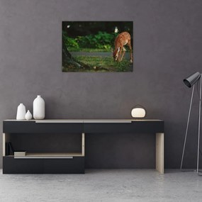 Tablou pe sticlă cu pui de cerb (70x50 cm)