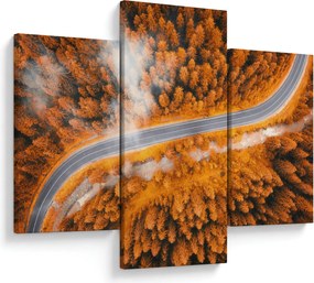 Tablou - Strada montană (90x60 cm)