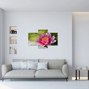 Tablou - Lotus (90x60 cm)