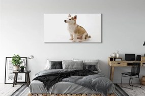 Tablouri canvas Stând câine mic