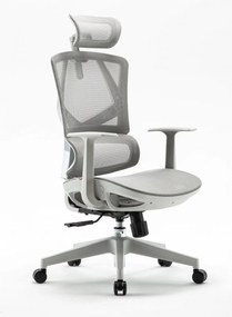 RESIGILAT - Scaun ergonomic SIHOO, spatar reglabil pe inaltime, suport lombar revenire automata, tetiera reglabila, mecanism inclinare/blocare in 3 pozitii, pivotant, Mesh, Gri