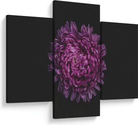 Tablou cu floare violetă (90x60 cm)