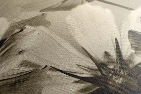 Tablou flori de grădină în design sepia