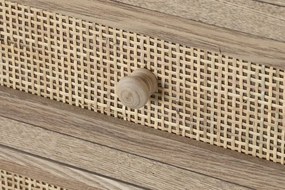Comoda natur din lemn de paulownia si rattan, 40X30X104 cm