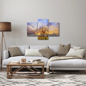 Tablou - Peisaj cu floarea soarelui (90x60 cm)