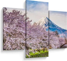 Tablou - Japonia în primăvară (90x60 cm)