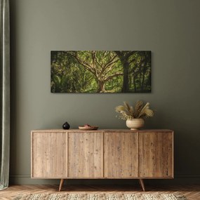 Tablou cu copaci (120x50 cm)