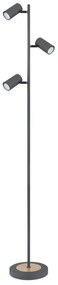 Lampadar, lampa de podea design industrial Robby grafit, maro